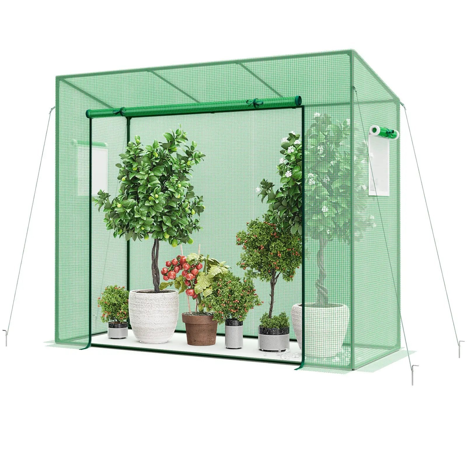 Outdoor Portable Walk-in Greenhouse with PE Cover Heavy-Duty Metal Frame Roll-up Zipper Door by DirectDeals
