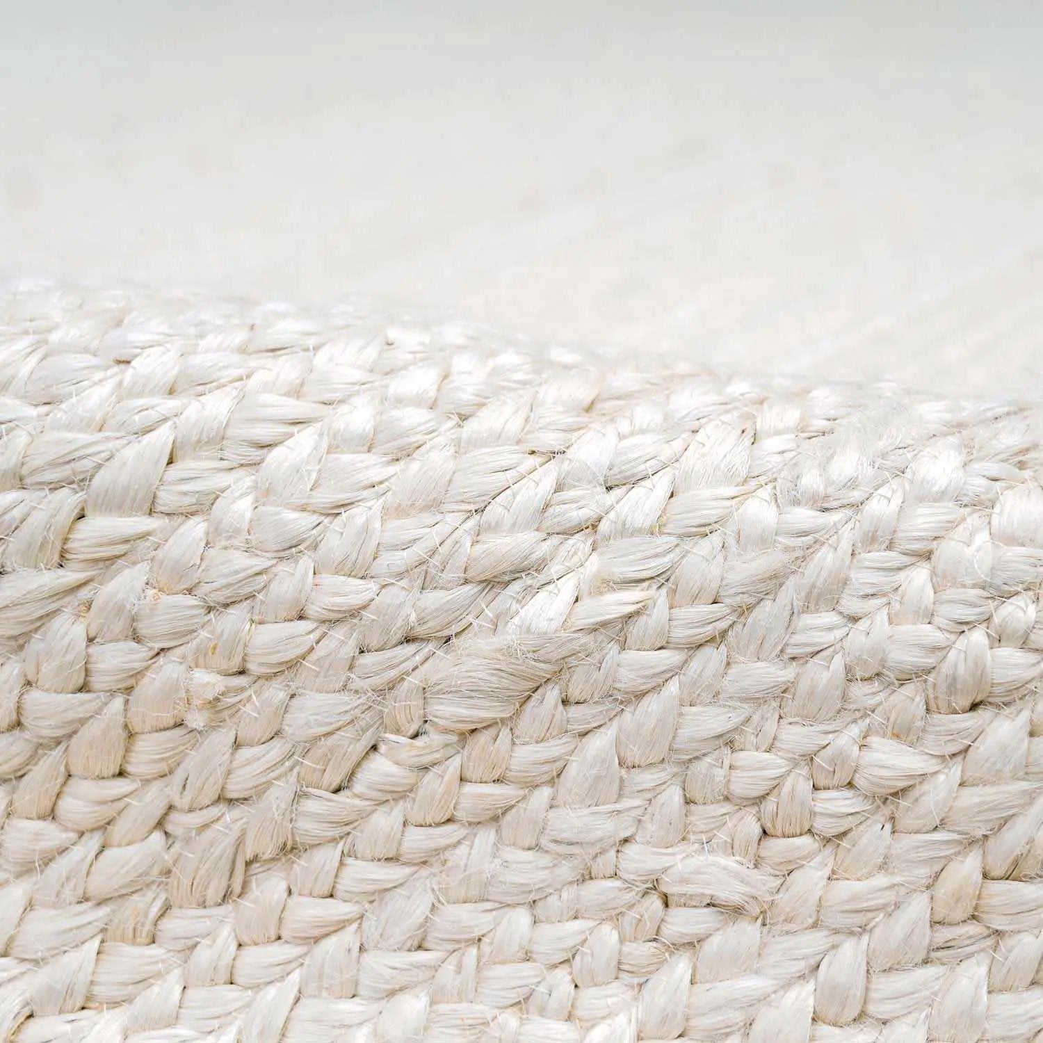 Pangnir Braided Jute Rug by Boutique Rugs