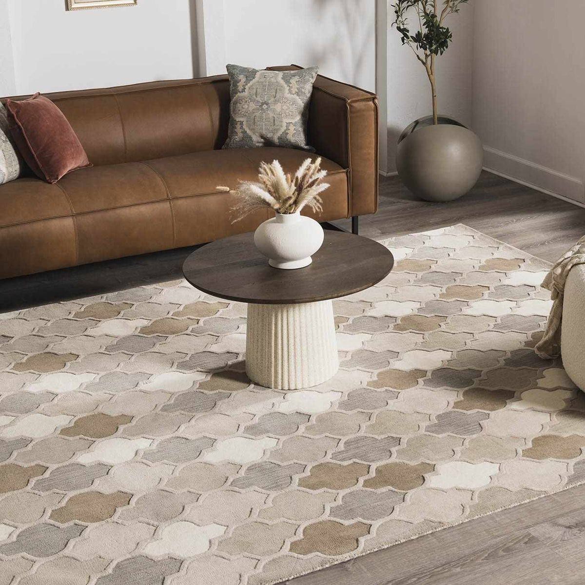 Paron Area Rug - Clearance, installed in a room 11