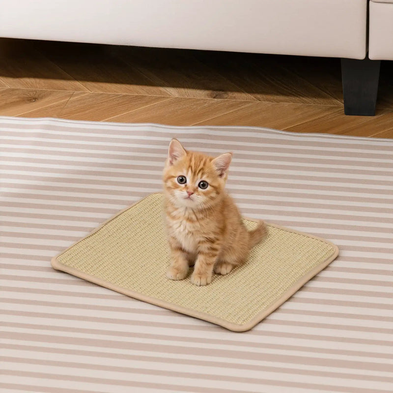12 Pieces Cat Scratcher Mat Set 16 x 12 Inch Natural Sisal Pads by DirectDeals