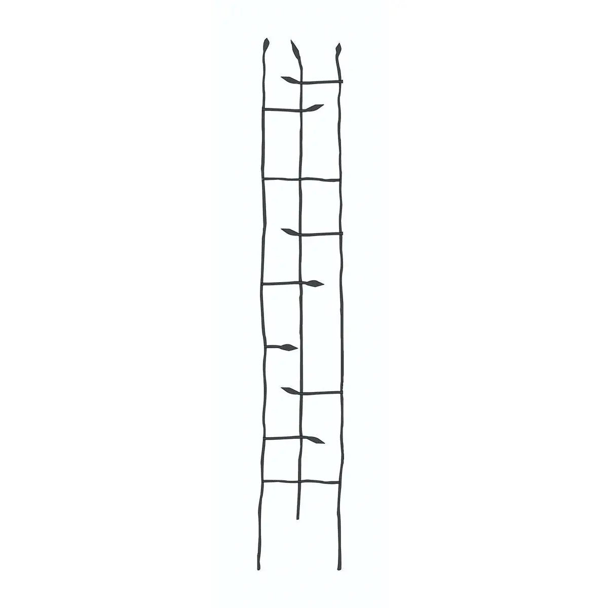 6-Ft High Narrow Garden Trellis in Metal Sprouting Twig Leaf by HomePacific