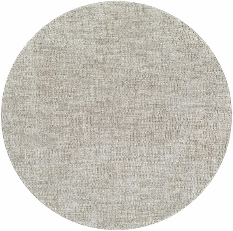 Pabla Light Gray Area Rug by Boutique Rugs