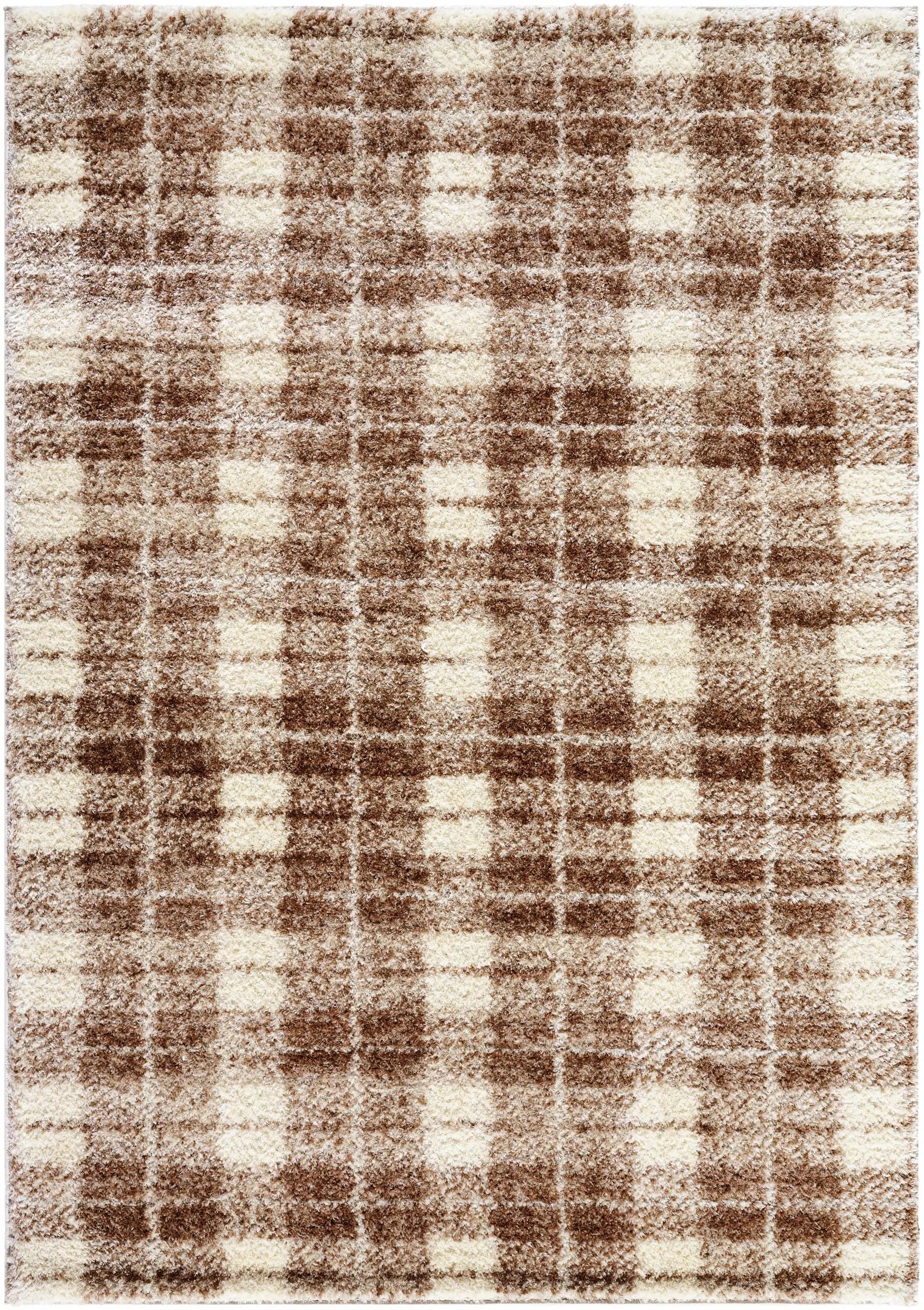 Anfisa Beige Luxe Shag Area Rug by Boutique Rugs