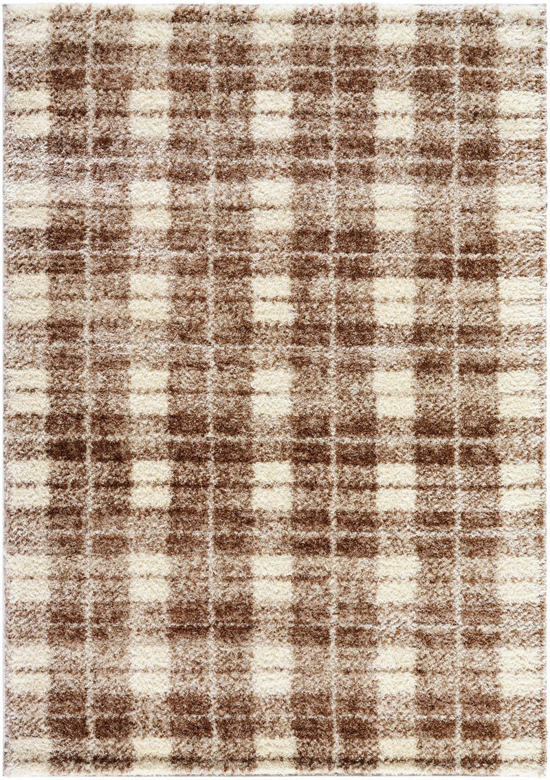 Anfisa Beige Luxe Shag Area Rug by Boutique Rugs