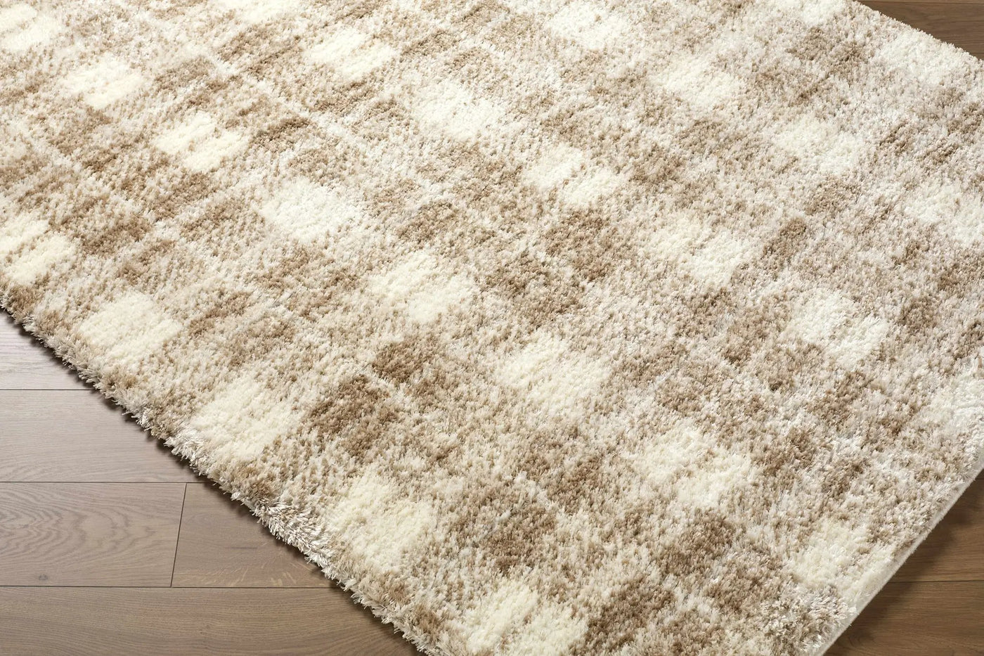 Anfisa Beige Luxe Shag Area Rug by Boutique Rugs