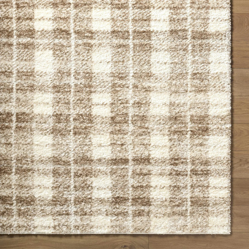 Anfisa Beige Luxe Shag Area Rug by Boutique Rugs