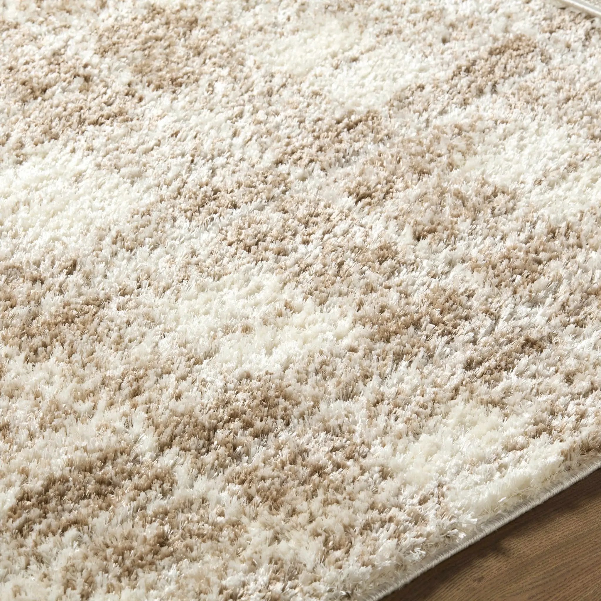 Anfisa Beige Luxe Shag Area Rug by Boutique Rugs