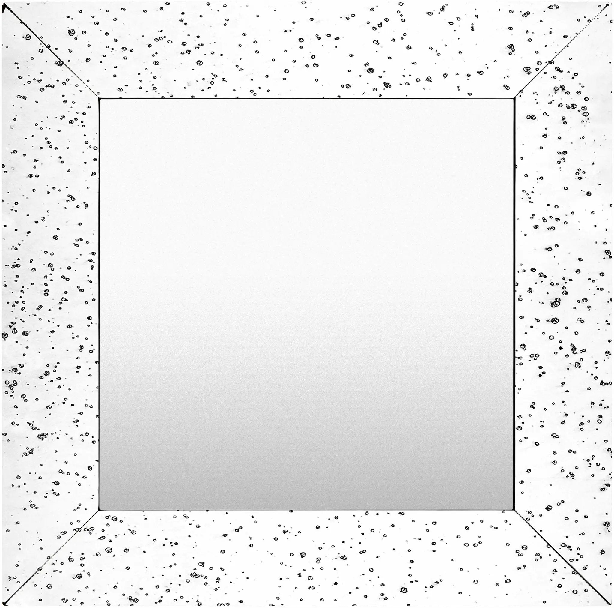 Papine Mirror - Clearance by Boutique Rugs