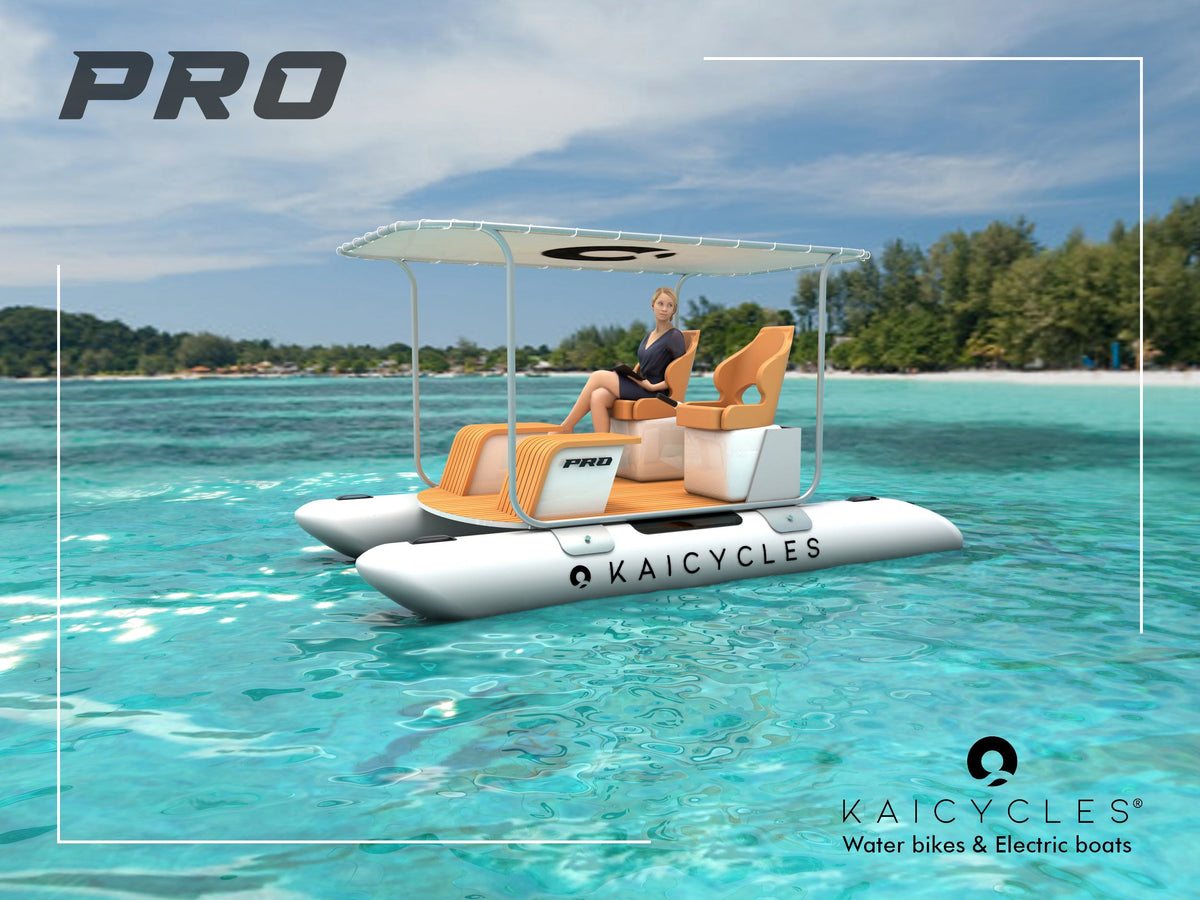 PRO Inflatable e-Boat (Made in EU), photo 6 of 11