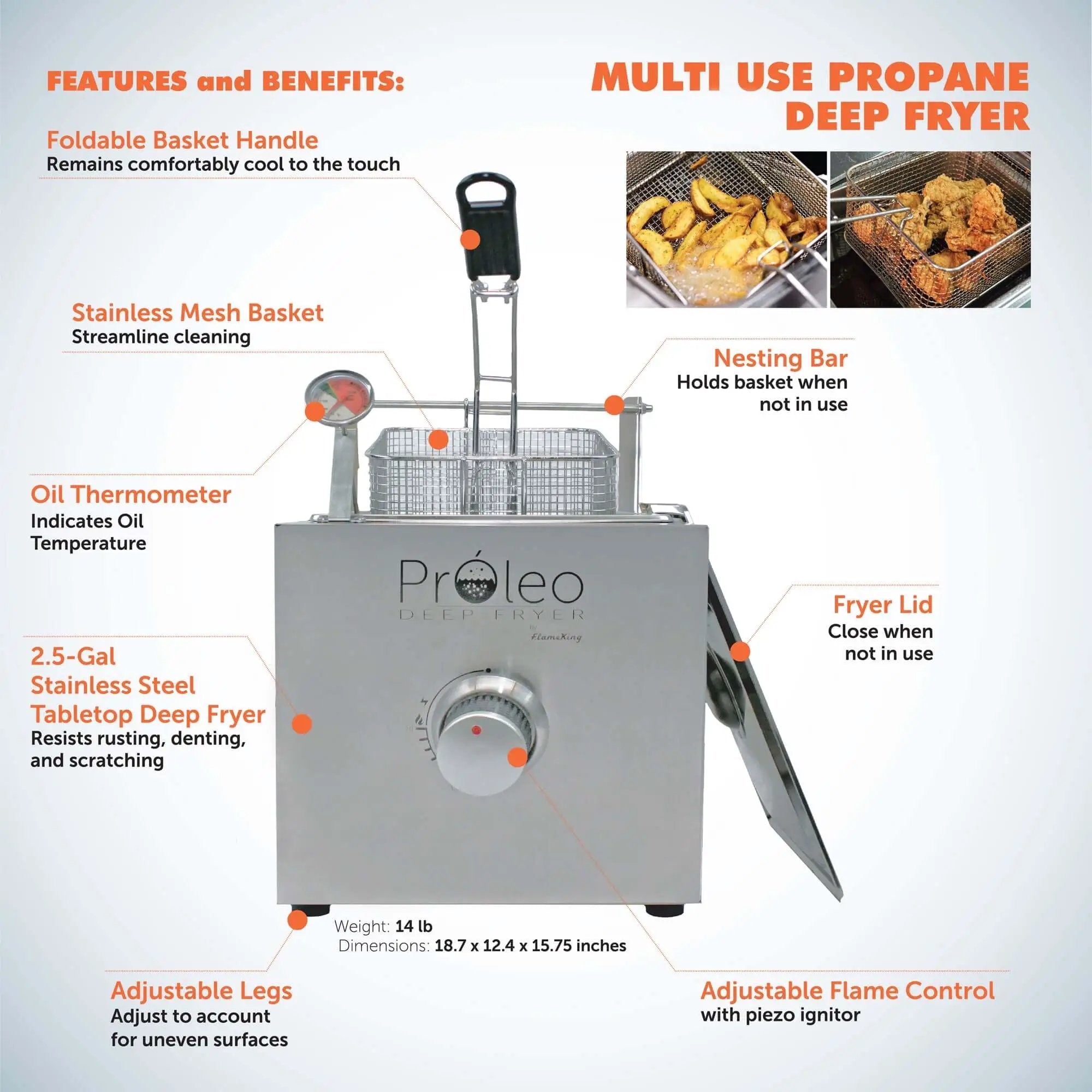 Flame King Proleo Portable Propane Deep Fryer by Flame King Products