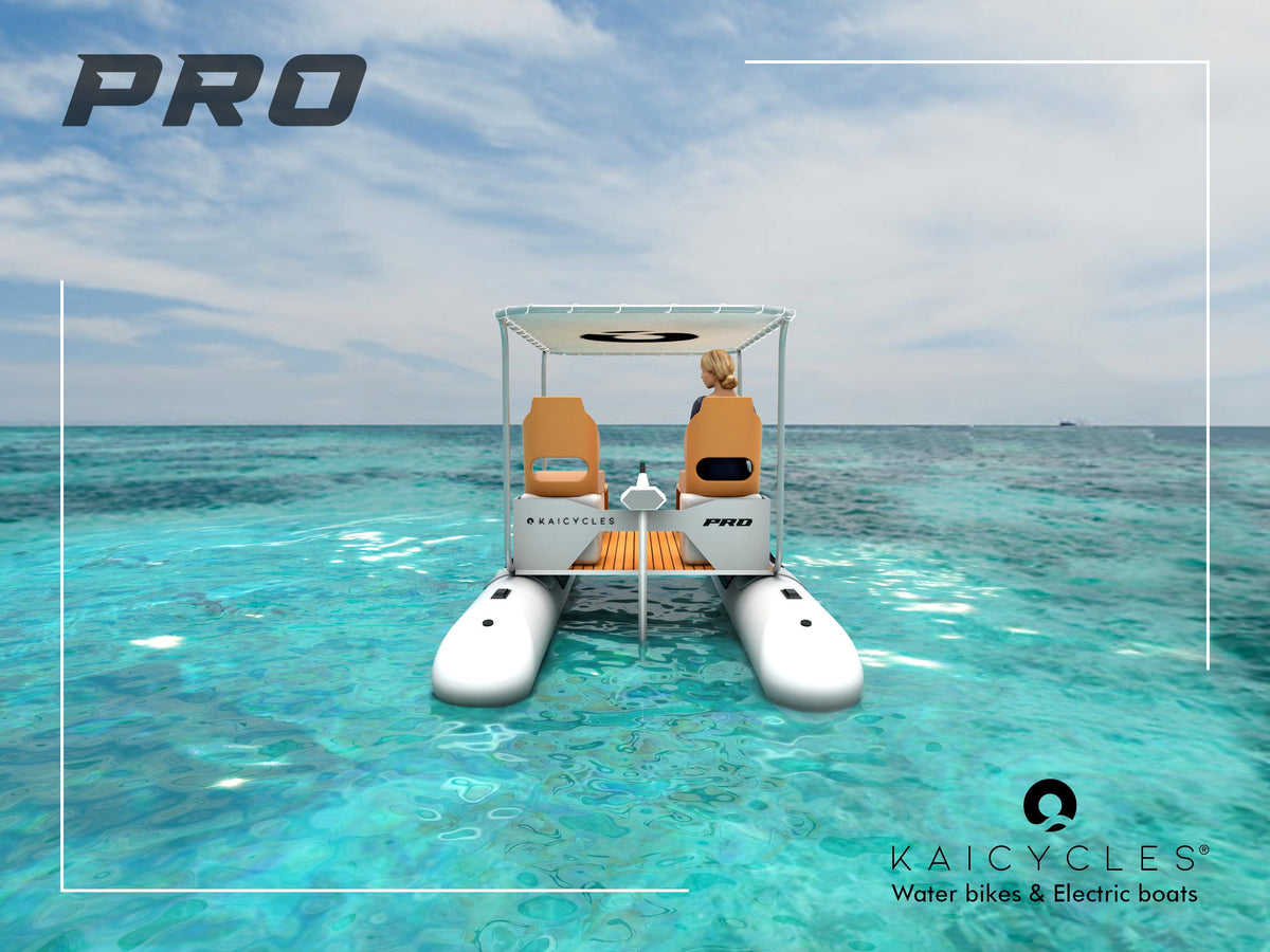 PRO Inflatable e-Boat (Made in EU), photo 9 of 11