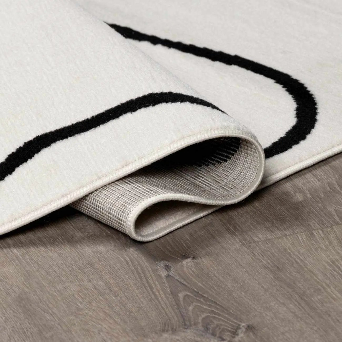 Eilir Modern Low Profile Boho Rug, photo 7 of 15