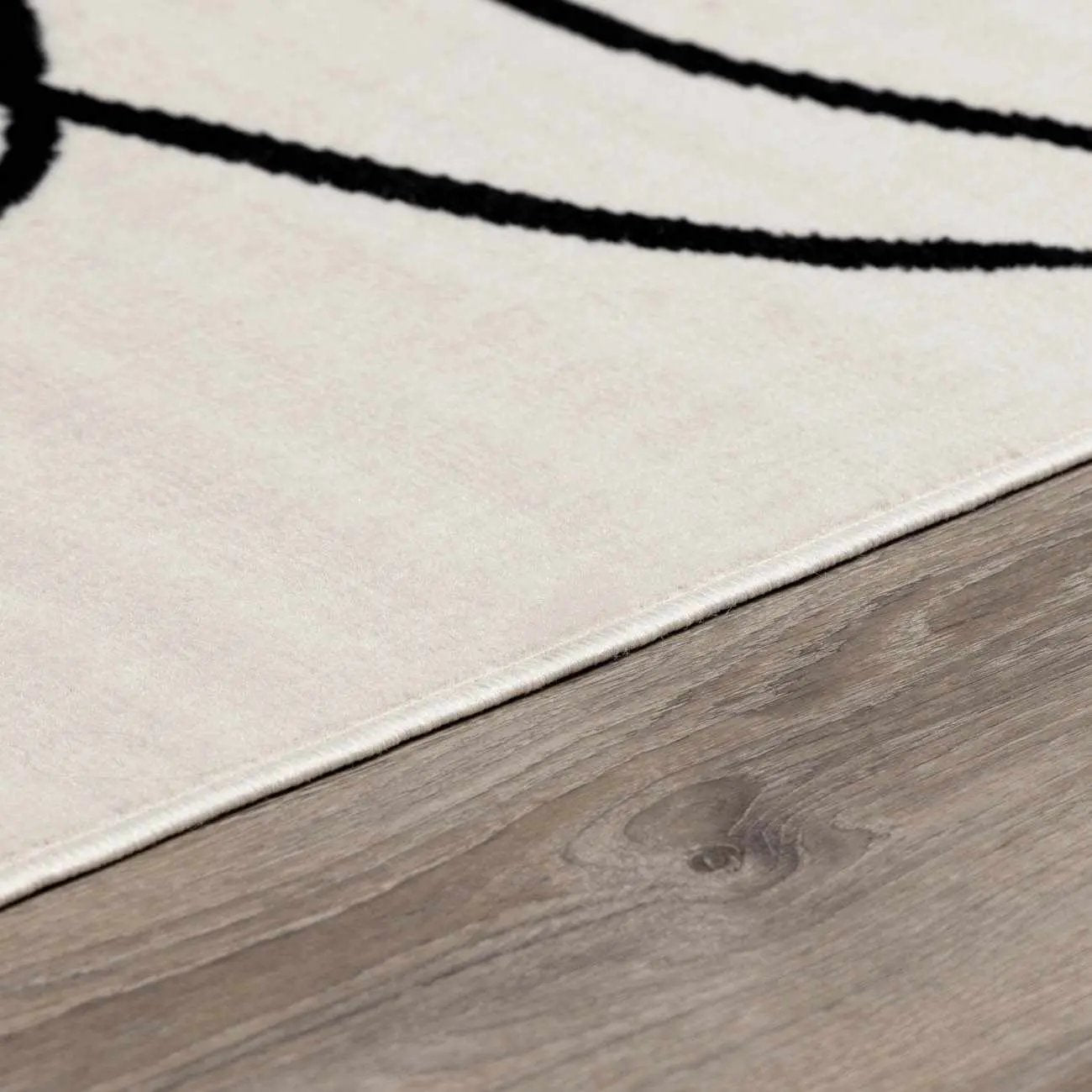 Eilir Modern Low Profile Boho Rug by Boutique Rugs