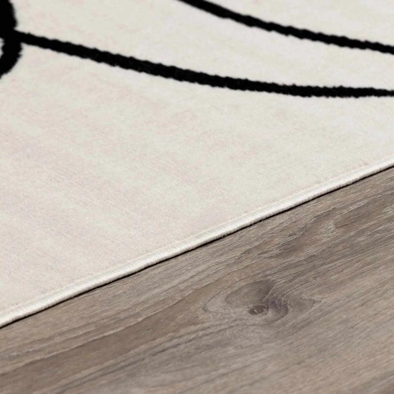 Eilir Modern Low Profile Boho Rug by Boutique Rugs