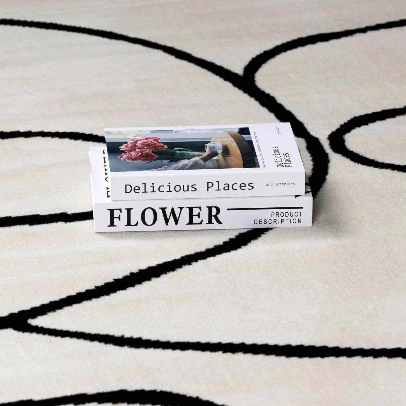 Eilir Modern Low Profile Boho Rug by Boutique Rugs