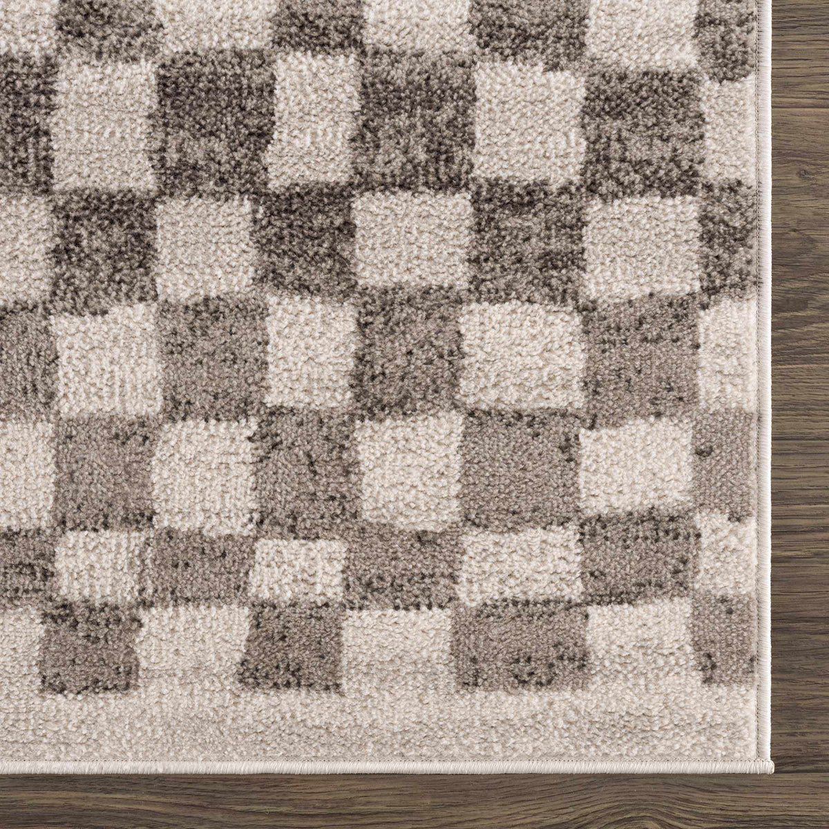 Benjy Beige Checkered Area Rug, photo 10 of 16