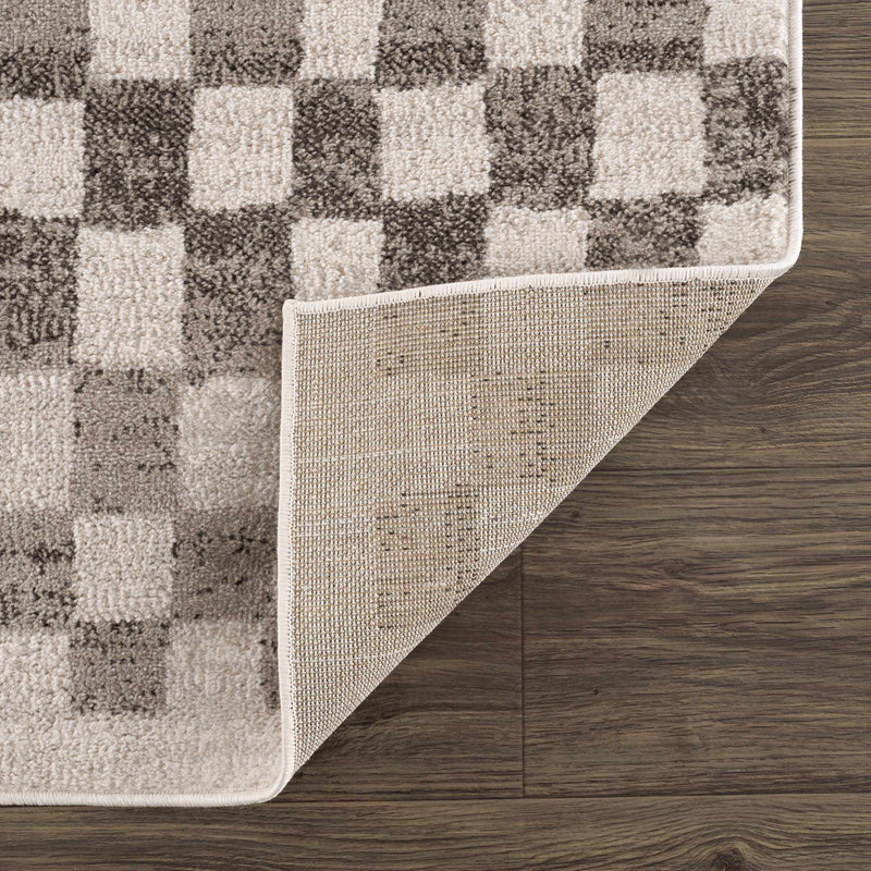 Benjy Beige Checkered Area Rug by Hauteloom