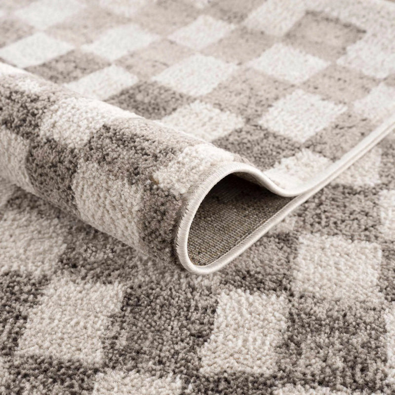 Benjy Beige Checkered Area Rug by Hauteloom