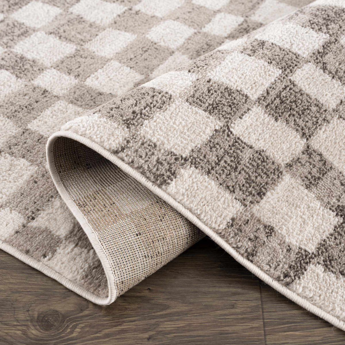 Benjy Beige Checkered Area Rug, photo 9 of 16
