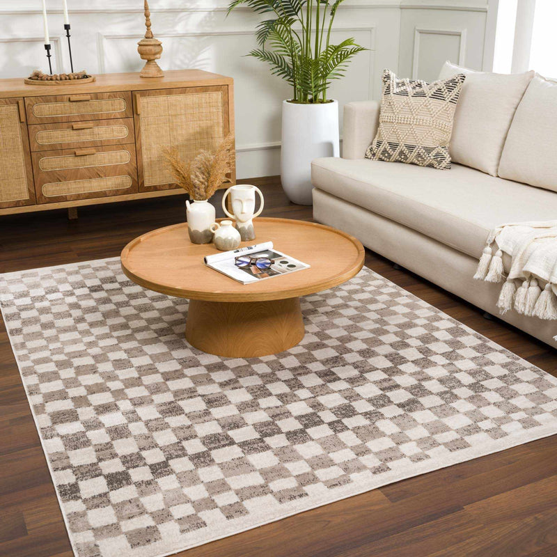 Benjy Beige Checkered Area Rug by Hauteloom