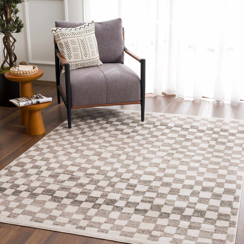 Benjy Beige Checkered Area Rug by Hauteloom