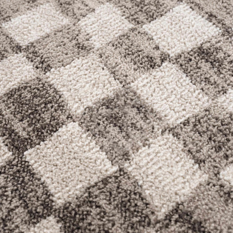 Benjy Beige Checkered Area Rug by Hauteloom