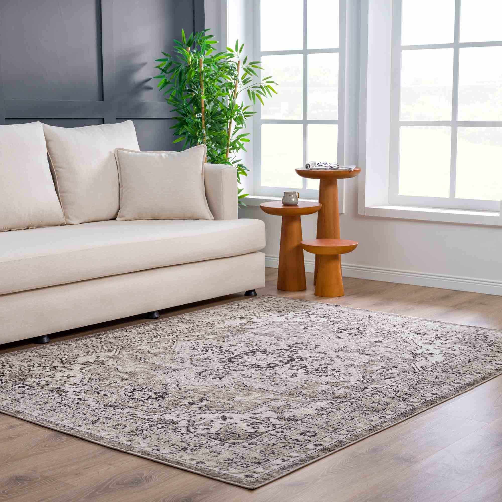 Albie Beige Area Rug by Hauteloom