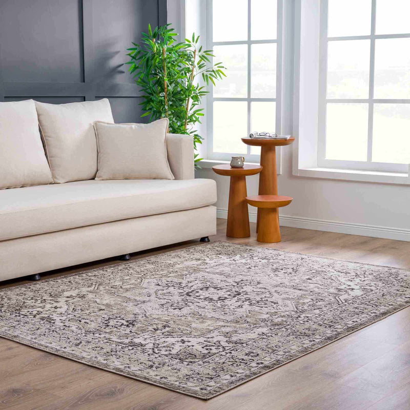 Albie Beige Area Rug by Hauteloom