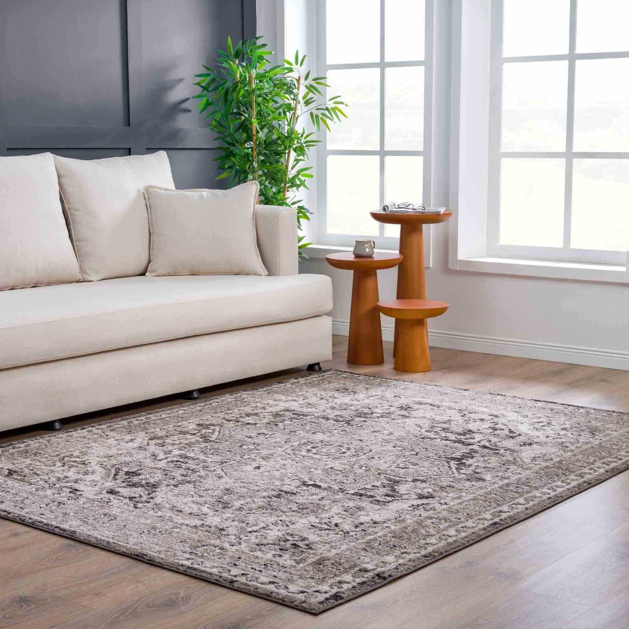 Albie Charcoal & Beige Area Rug by Hauteloom
