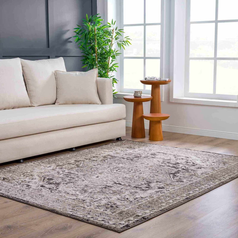 Albie Charcoal & Beige Area Rug by Hauteloom