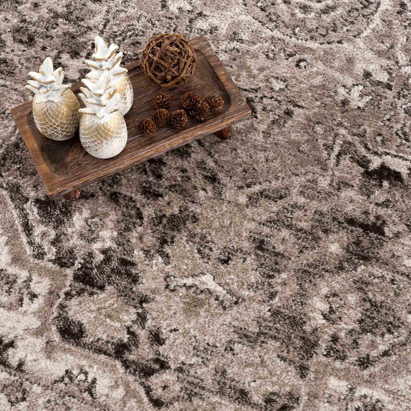 Albie Charcoal & Beige Area Rug by Hauteloom