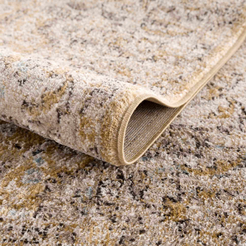 Anana Gold & Beige Area Rug by Hauteloom