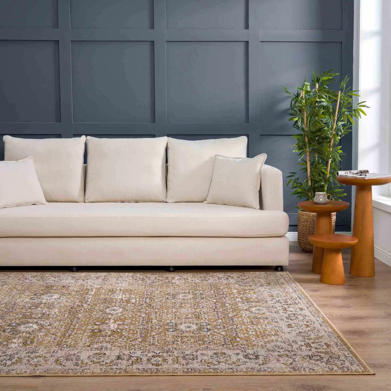 Anana Gold & Beige Area Rug by Hauteloom