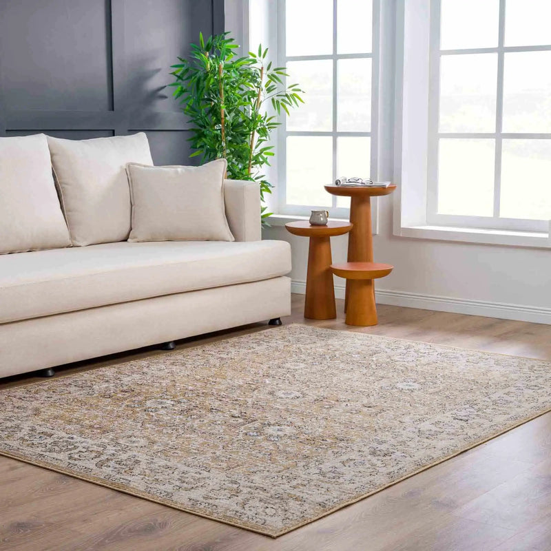 Anana Gold & Beige Area Rug - Clearance by Boutique Rugs