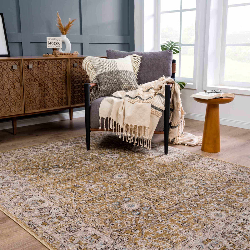 Anana Gold & Beige Area Rug by Hauteloom