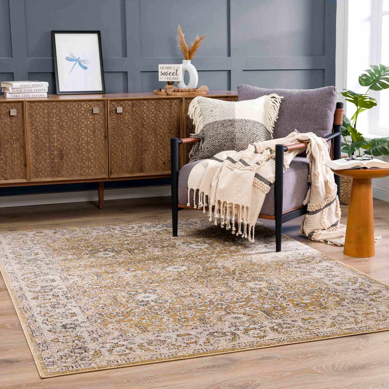 Anana Gold & Beige Area Rug by Hauteloom