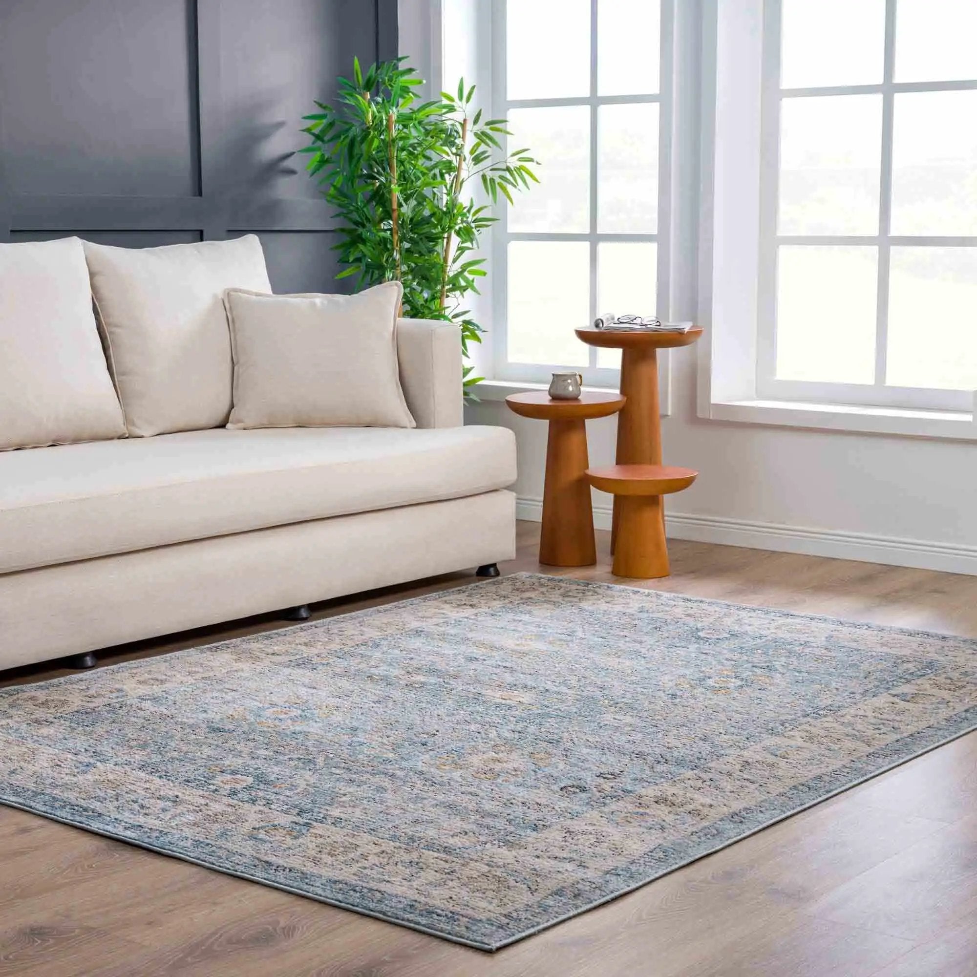 Anana Silver Blue & Beige Area Rug by Hauteloom