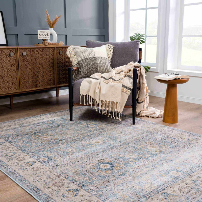 Anana Silver Blue & Beige Area Rug by Hauteloom