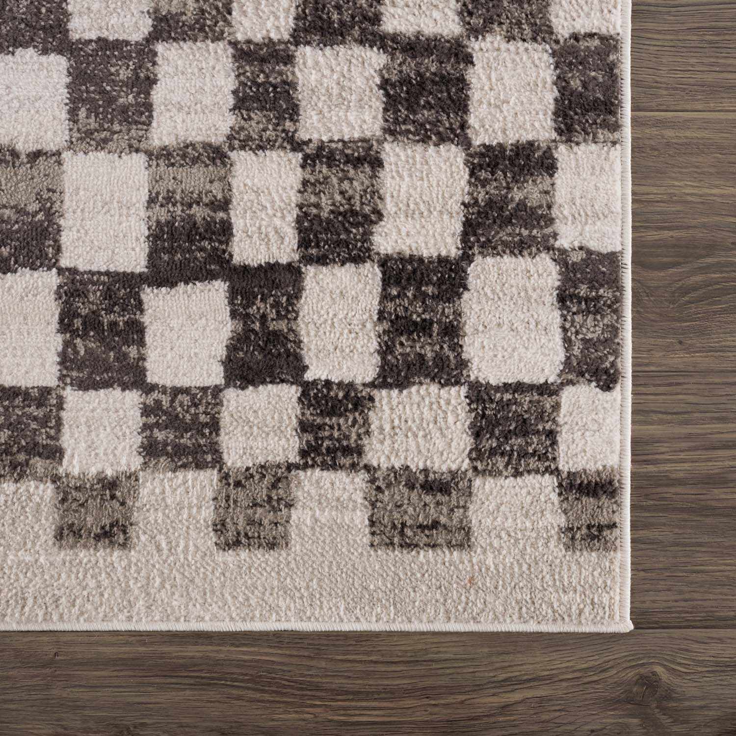 Benjy Cream & Charcoal Checkered Area Rug by Hauteloom