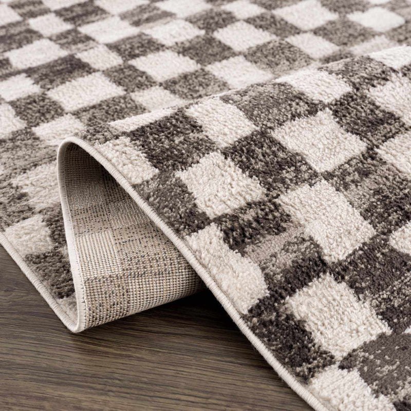 Benjy Cream & Charcoal Checkered Area Rug by Hauteloom
