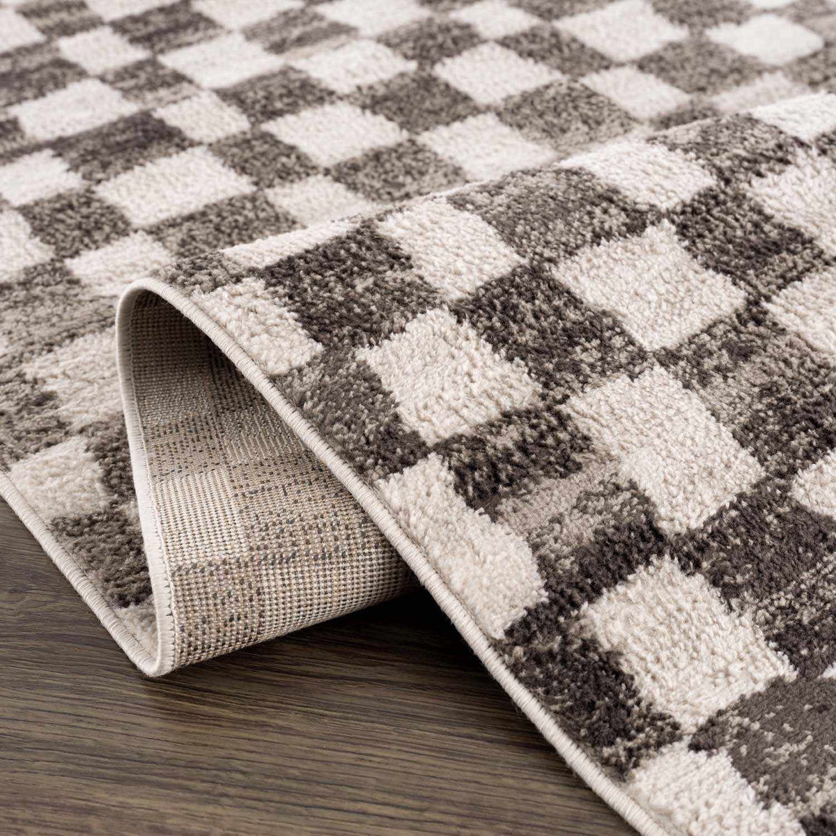 Benjy Cream & Charcoal Checkered Area Rug, photo 7 of 12