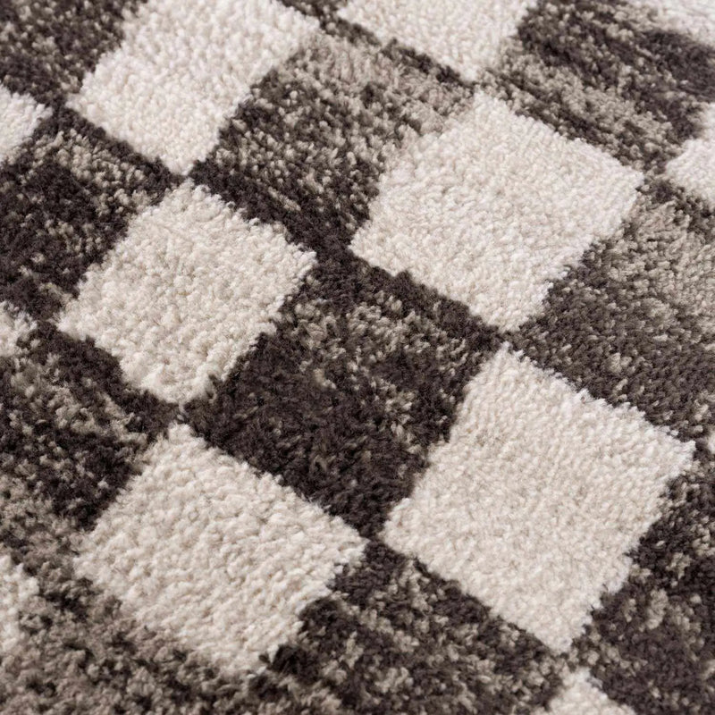Benjy Cream & Charcoal Checkered Area Rug by Hauteloom