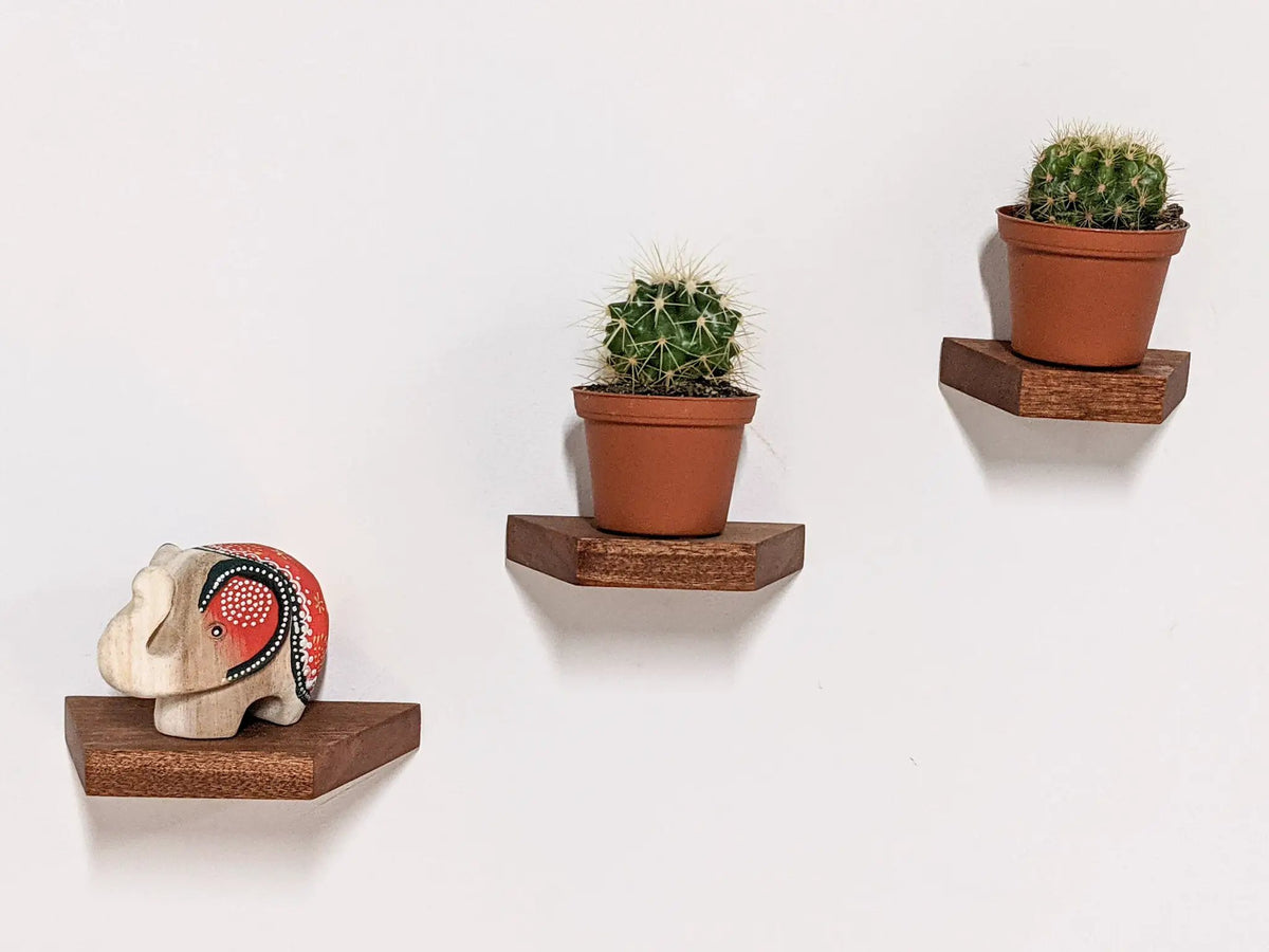 Small Trapezoid Display Shelf in Oak, photo 8 of 10