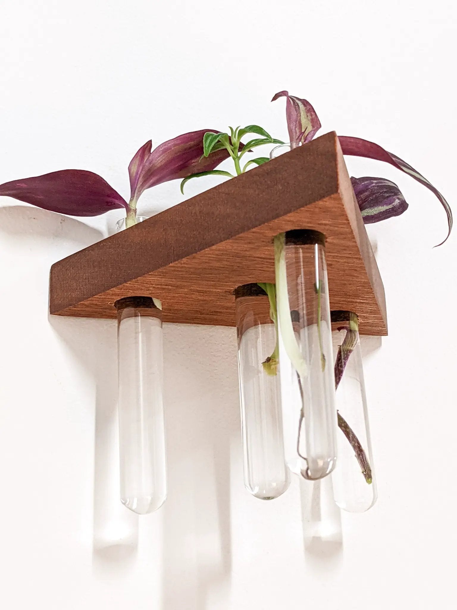 Triangle Propagation Station Shelf for Plant Cuttings by NookWoodworking