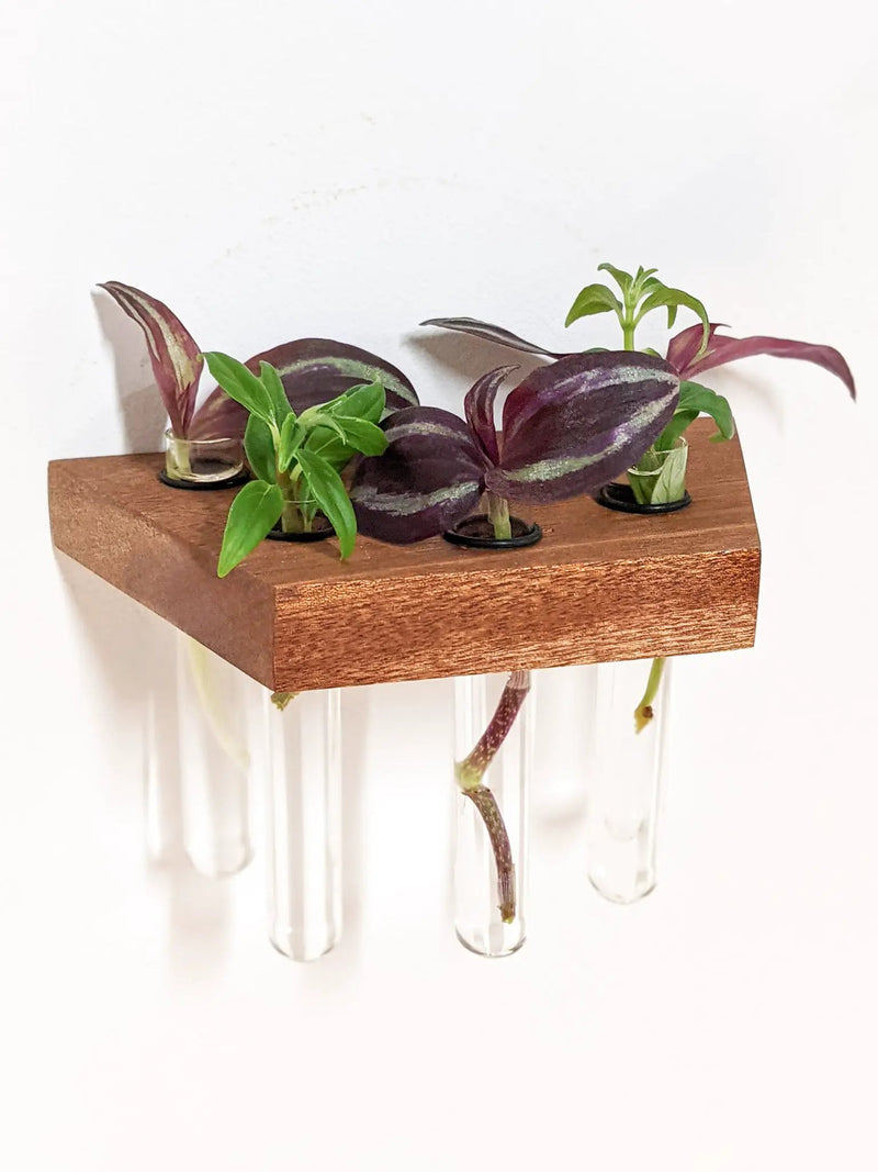 Trapezoid Propagation Station Shelf for Plant Cuttings by NookWoodworking