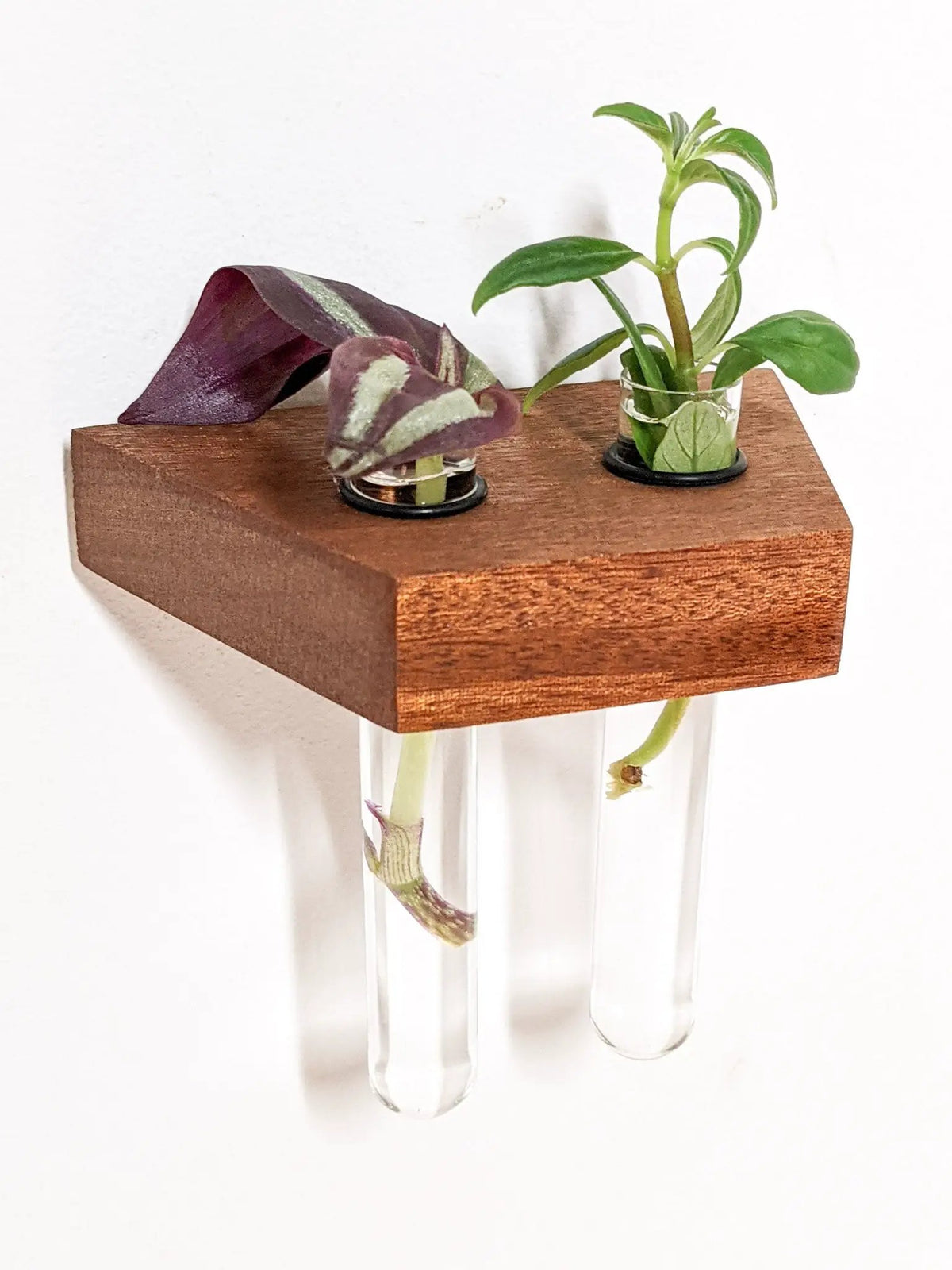 Trapezoid Propagation Station Shelf for Plant Cuttings, photo 6 of 10