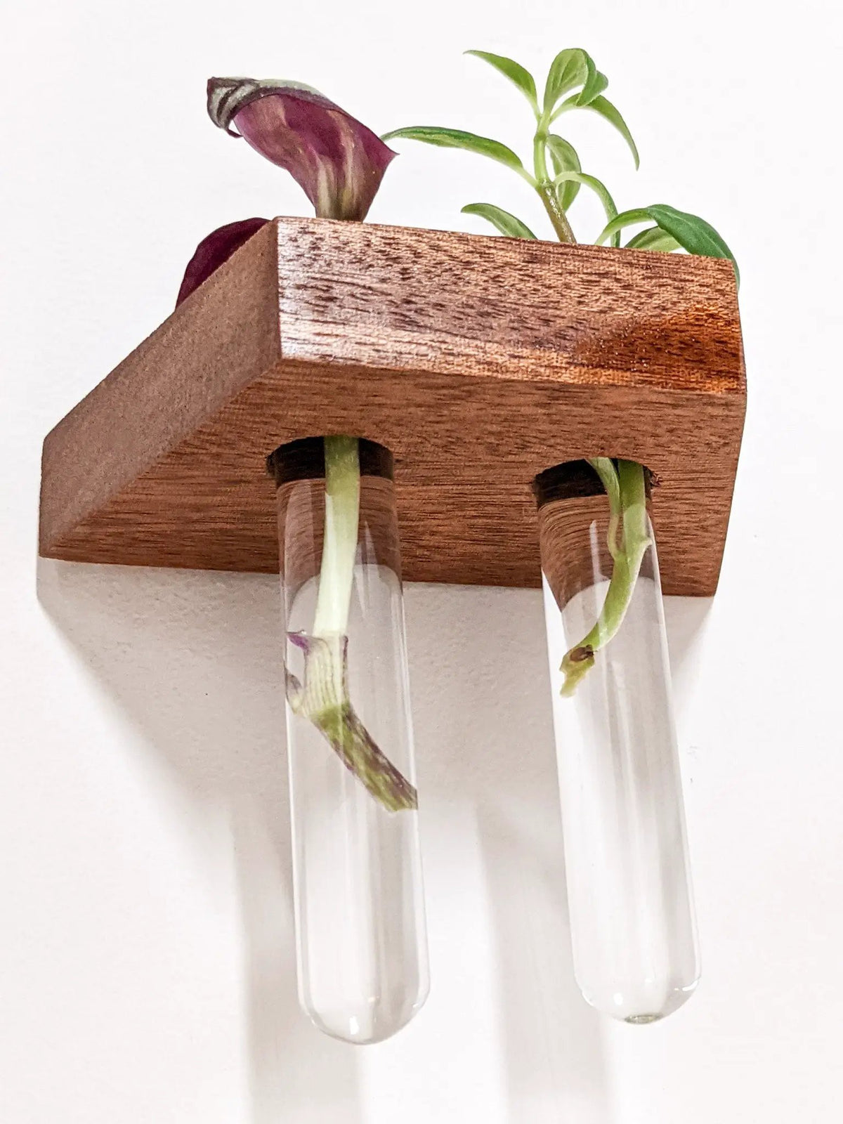 Trapezoid Propagation Station Shelf for Plant Cuttings, photo 7 of 10