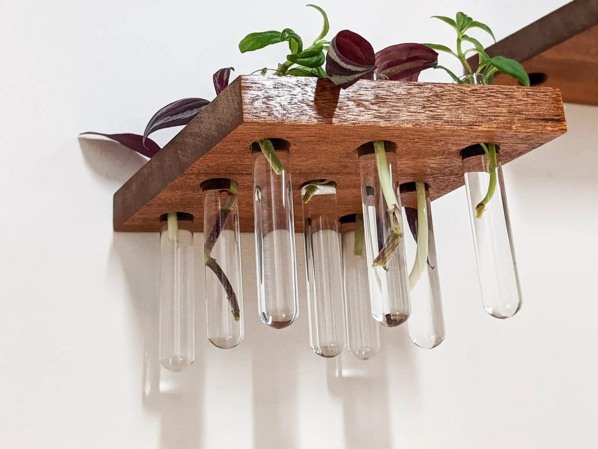 Rhombus Propagation Station Shelf for Plant Cuttings, photo 3 of 10