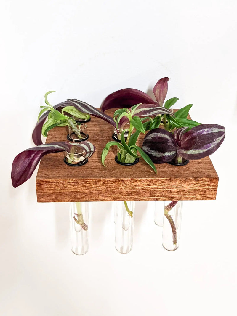 Square Propagation Station Shelf for Plant Cuttings by NookWoodworking