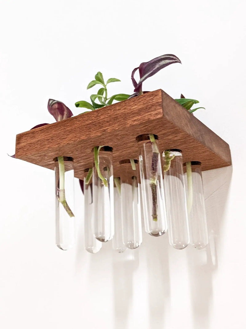 Square Propagation Station Shelf for Plant Cuttings by NookWoodworking